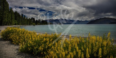 NEW ZEALAND Lake Wanaka